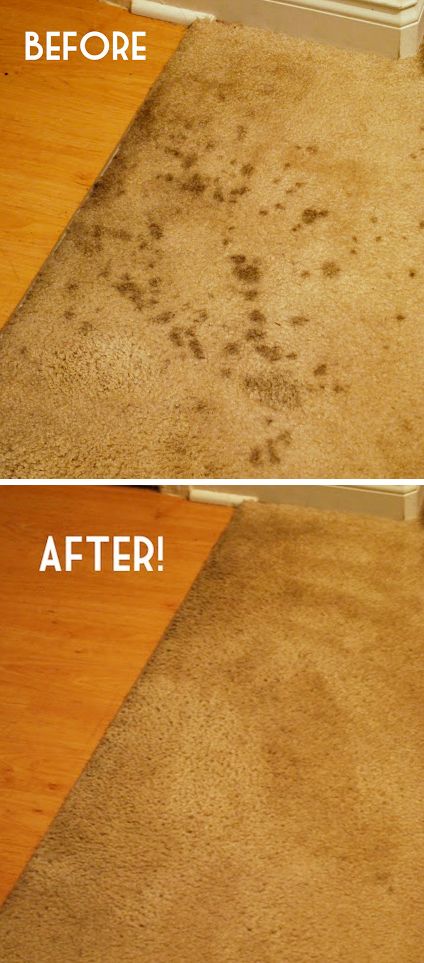 55-Must-Read-Cleaning-Tips-Tricks-carpet-cleaner